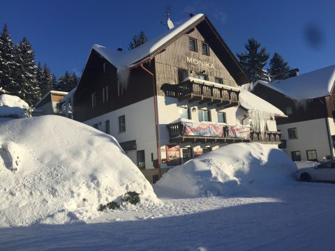 1691516317-monika_zima2